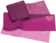 Load image into Gallery viewer, Melissa Gorga Resistance Straps
